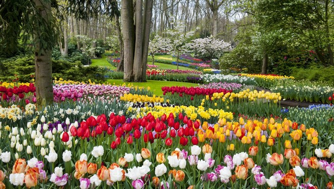 Keukenhof