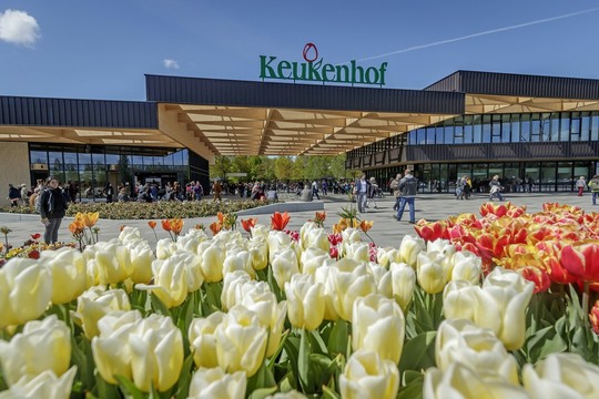 Bezoek de Keukenhof